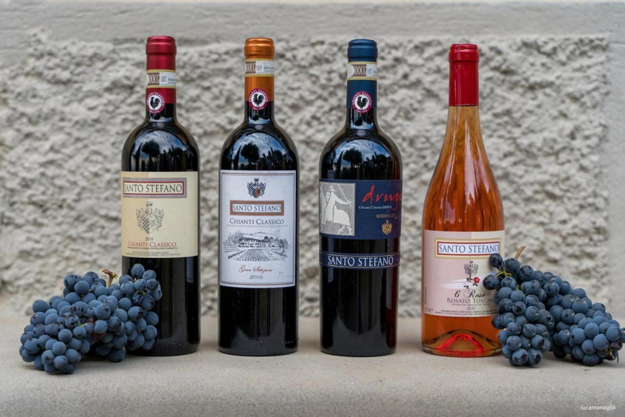 Agriturismo Fattoria Santo Stefano Greve in Chianti Dış mekan fotoğraf
